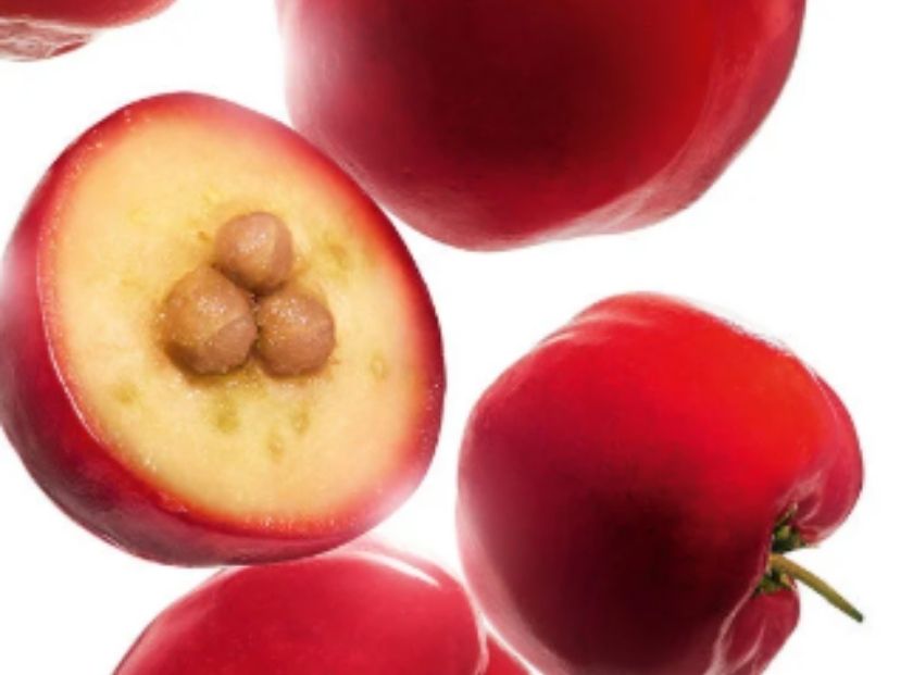 Acerola Cherry Ferment