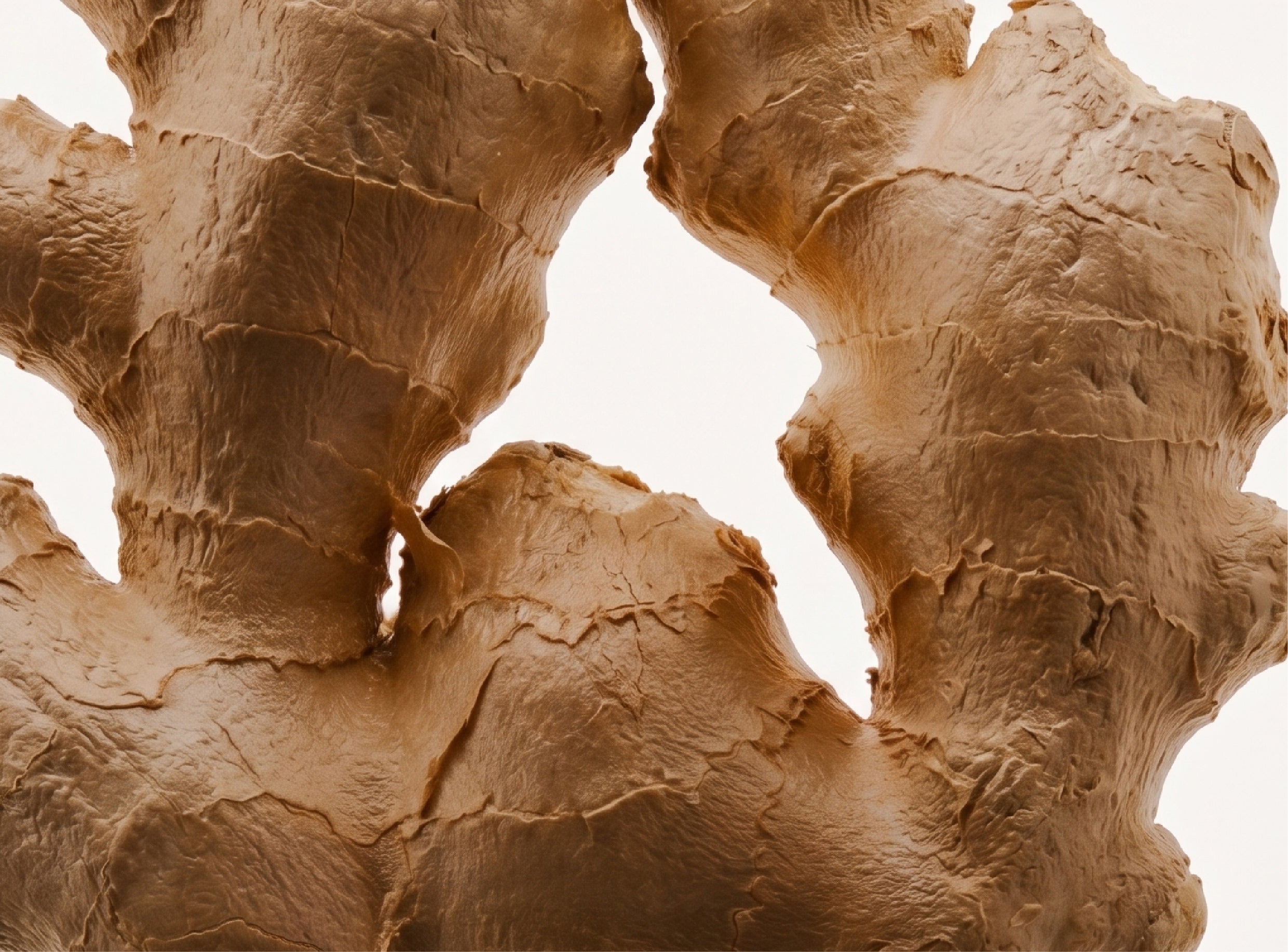 Acetyl Zingerone