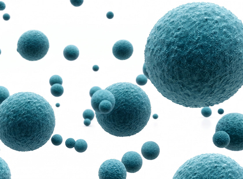 Postbiotic Exosomes