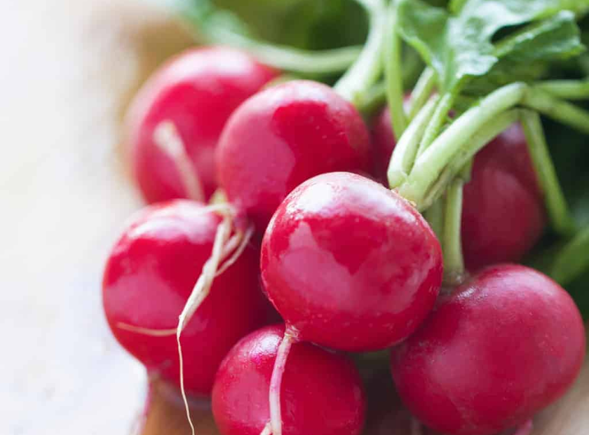 Radish Root Ferment Filtrate