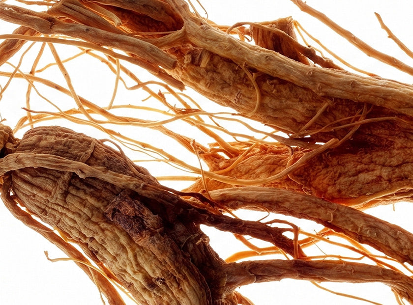 Ginseng Root Water